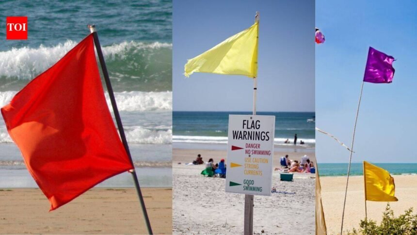 Beach Flag Rules: What do red, yellow, purple, green, and double flags mean at the beach? Why every traveller should be aware of these beach rules |