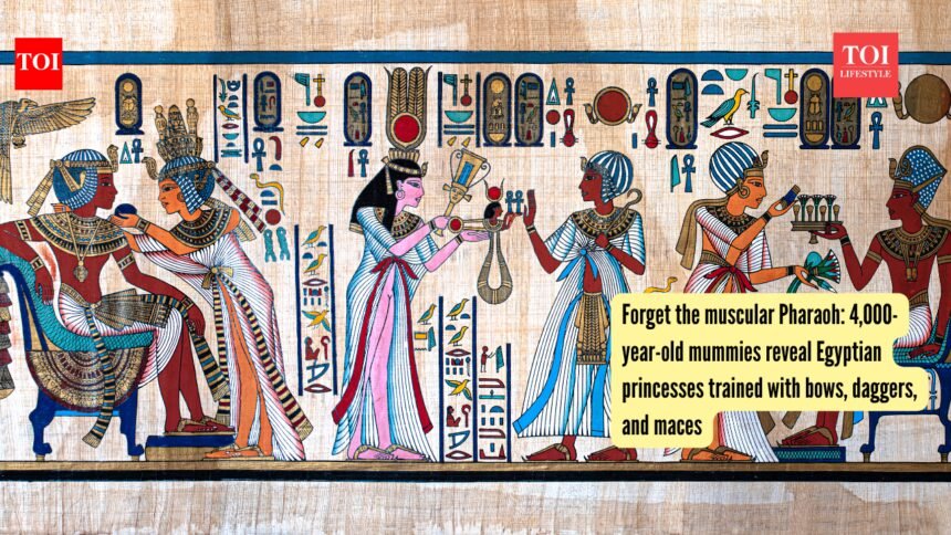 Forget the muscular Pharaoh: 4,000-year-old mummies reveal Egyptian princesses trained with bows, daggers, and maces |