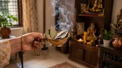 Bay leaves for energy healing: Transform your home with bay leaves: Traditional rituals claim to cleanse negativity and invite harmony |