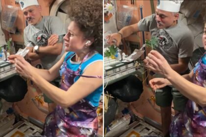 Growing Food In Space: ‘Smells like Earth’: Indian-origin astronaut Anil Menon harvests vegetables in space, cooks with fellow astronaut Jessica Meir