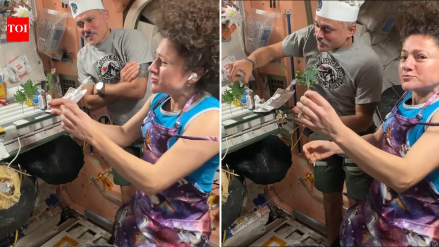 Growing Food In Space: ‘Smells like Earth’: Indian-origin astronaut Anil Menon harvests vegetables in space, cooks with fellow astronaut Jessica Meir