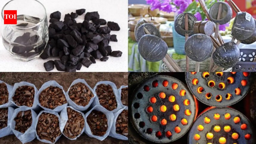 5 practical uses of coconut shell