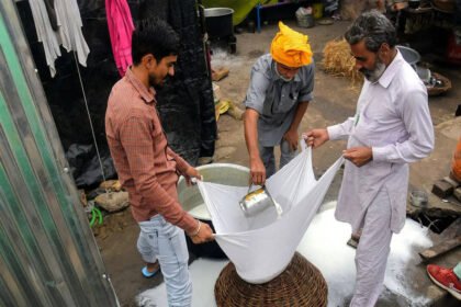 300 kg paneer seized and destroyed in Noida just days before Raksha Bandhan: Here’s what happened