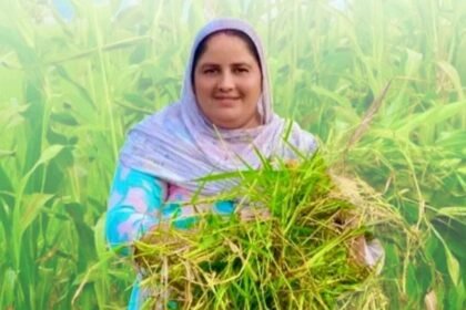 Mandeep Kaur Khaira: From half an acre to 40: How a Moga woman turned mockery into an Rs 80 lakh farming enterprise