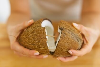 Coconut Breaking Tips: How to break a coconut properly: The simple technique that cracks the hard shell without a mess