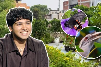 “If you plant three types of plants…”: This Delhi terrace has more than 500 plants and attracts 100+ bird species and 25+ butterflies; how Aman Sharma turned a barren space into an ‘urban jungle’