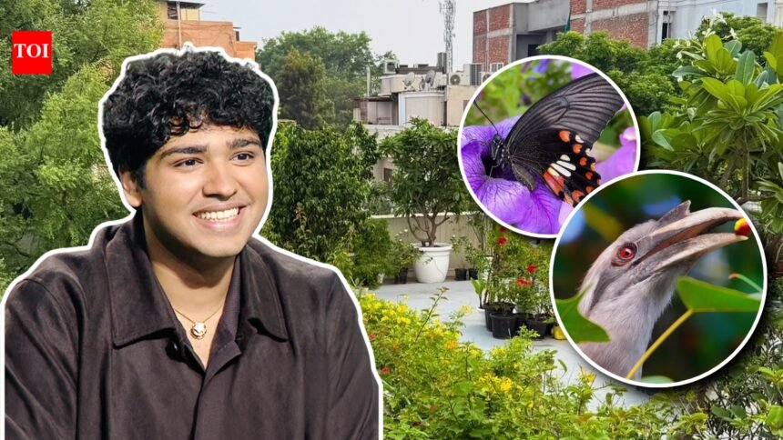 “If you plant three types of plants…”: This Delhi terrace has more than 500 plants and attracts 100+ bird species and 25+ butterflies; how Aman Sharma turned a barren space into an ‘urban jungle’