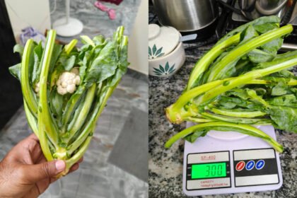 Chennai man orders cauliflower from Zepto, gets mostly greens instead: Internet says ‘They forgot to send the Cauli and just sent the flower’